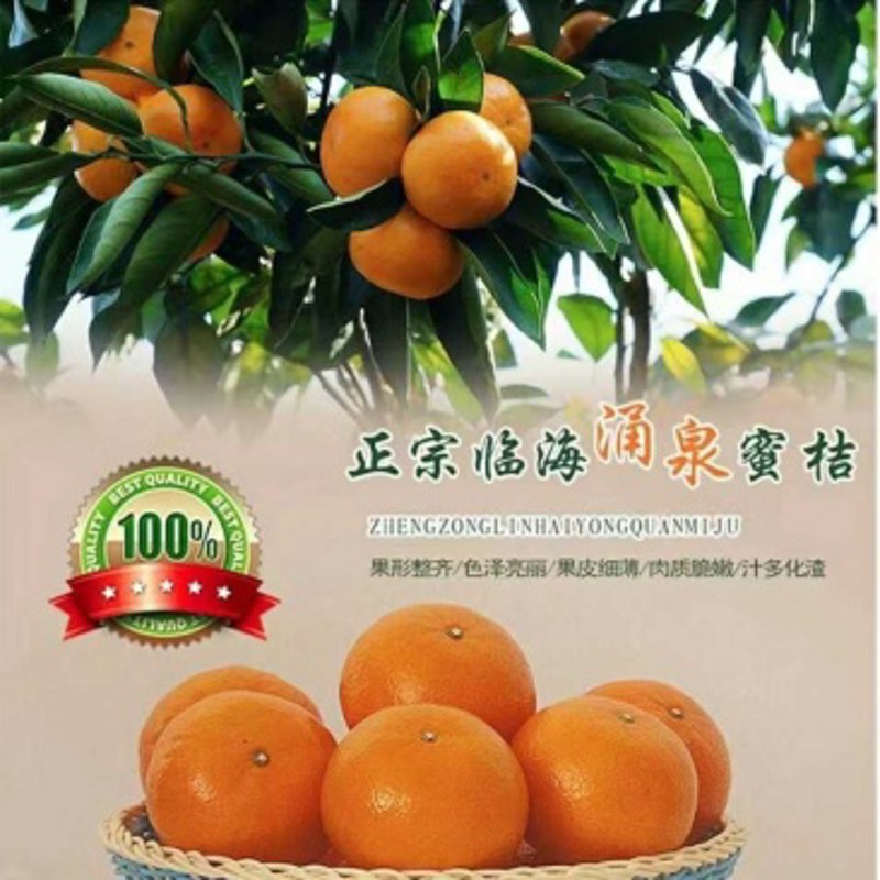 在炎炎夏日里，选择正确的时令水果不仅能为你的餐桌增添色彩，还能让你享受到大自然的馈赠。