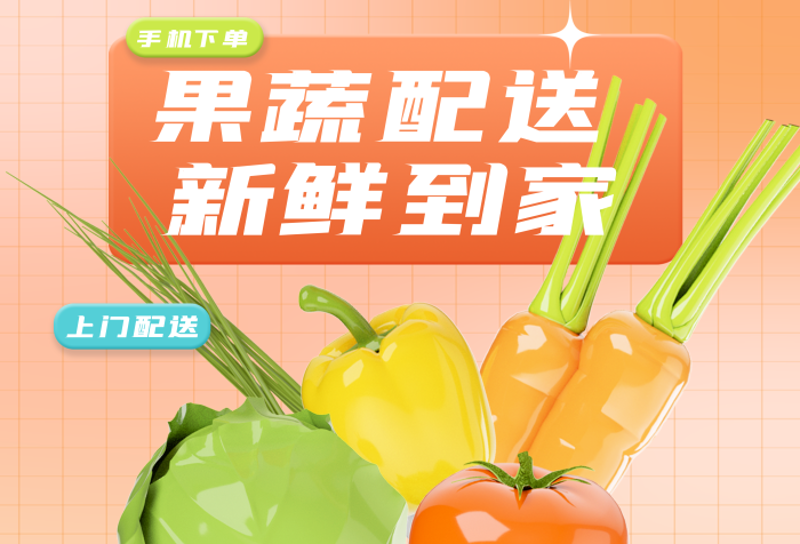 如何在家种植新鲜蔬菜？从初学者到高手的全攻略
