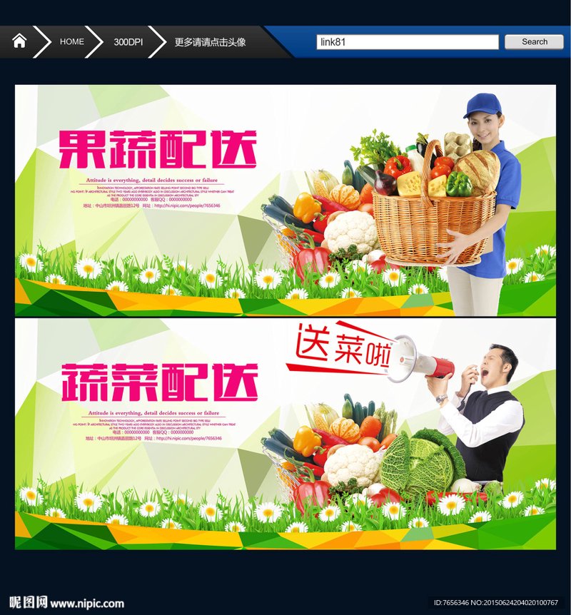 蔬菜种植：让绿色梦想照进现实