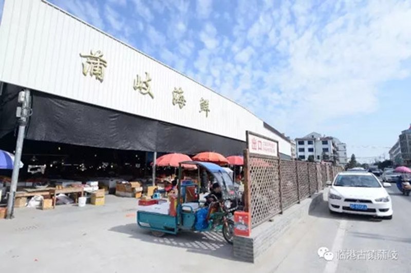深度剖析：选择最佳新鲜蔬菜的技巧
